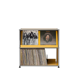 Modular Steel Vinyl Display Cabinet (2x1)
