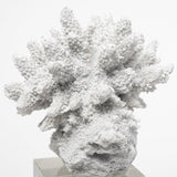 Isla Object