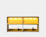 Modular Steel Vinyl Display Cabinet (2x1)