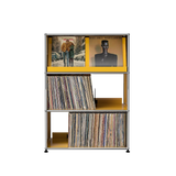 Modular Steel Vinyl Display Cabinet (3x1)