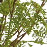 Woodland Fern Centerpiece