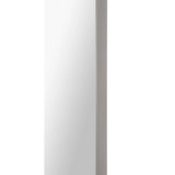 Delphinus Wall Mirror