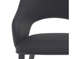 Denzel Dining Chair - Set of 4 in Black and Black
