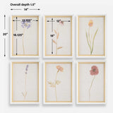 Wild Flourish Framed Prints, S/6