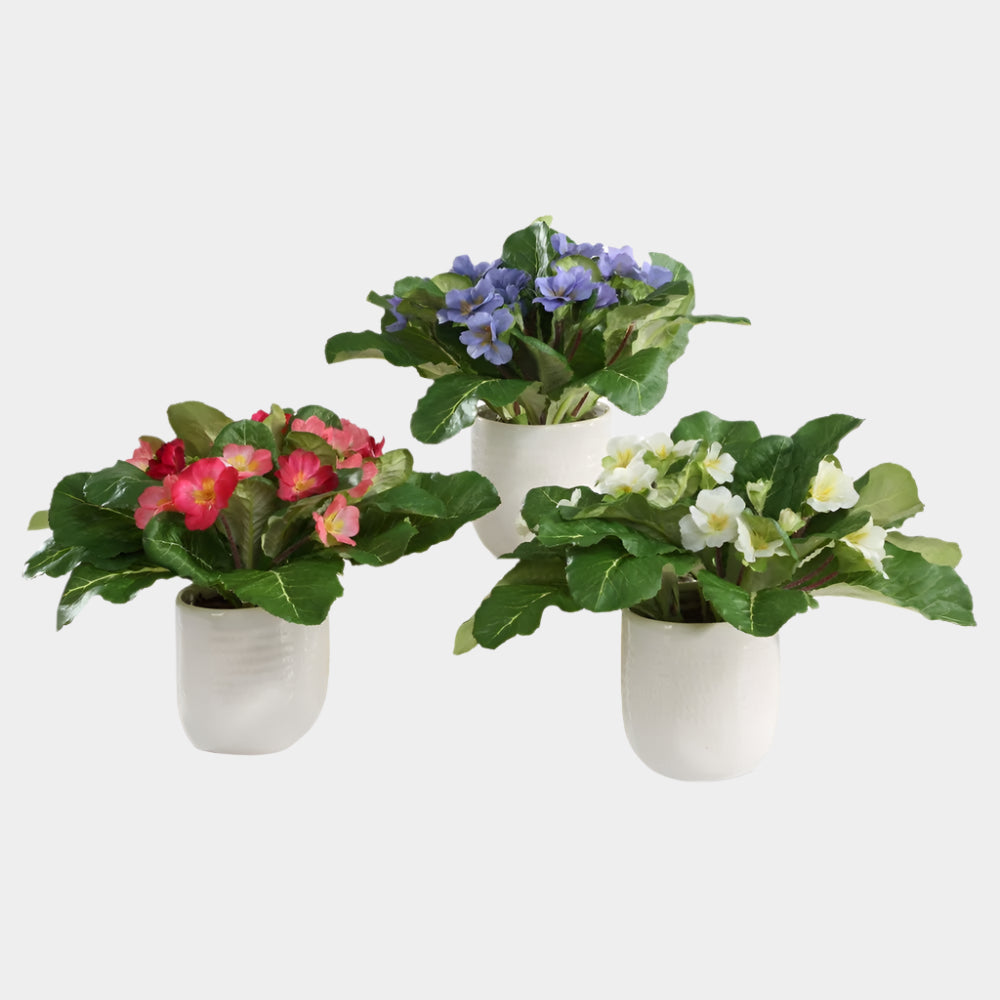 Trilogy Primrose Accents, S/3