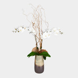 Earthbound Orchid