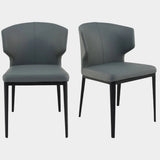 Delaney Dining Chair Set of 2