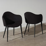 Nora Dining Chair (Titanium Steel Legs)