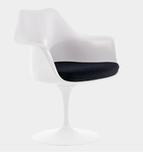 Tulip W/Arm Chair (Warehouse Sale, local pickup only)