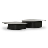 Roche 2-Piece Ash Nesting Coffee Table Set