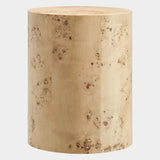 Cosmos 16" Round Burl Wood Side Table