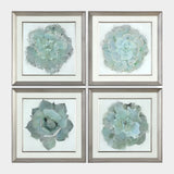 Natural Beauties Framed Prints, S/4