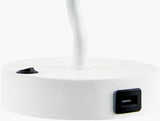 Begonia Accent Table Lamp