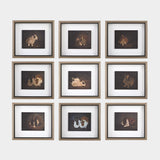 Resting Bunny Framed Prints, S/9
