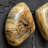 Pebbles Wood Wall Decor, S/9