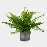 Maidenhair Fern Accent