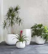 Amorphous Planter, Large, White