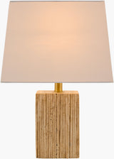 Taboye Accent Table Lamp