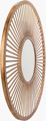 Vision Mirror