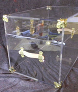 Acrylic Trunk